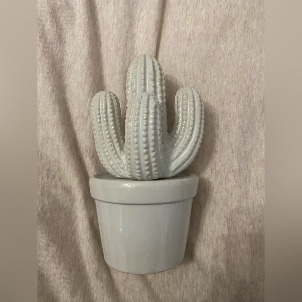 Ceramic Cactus